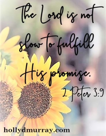 Promises The Lord is not slow to fulfill His promise.