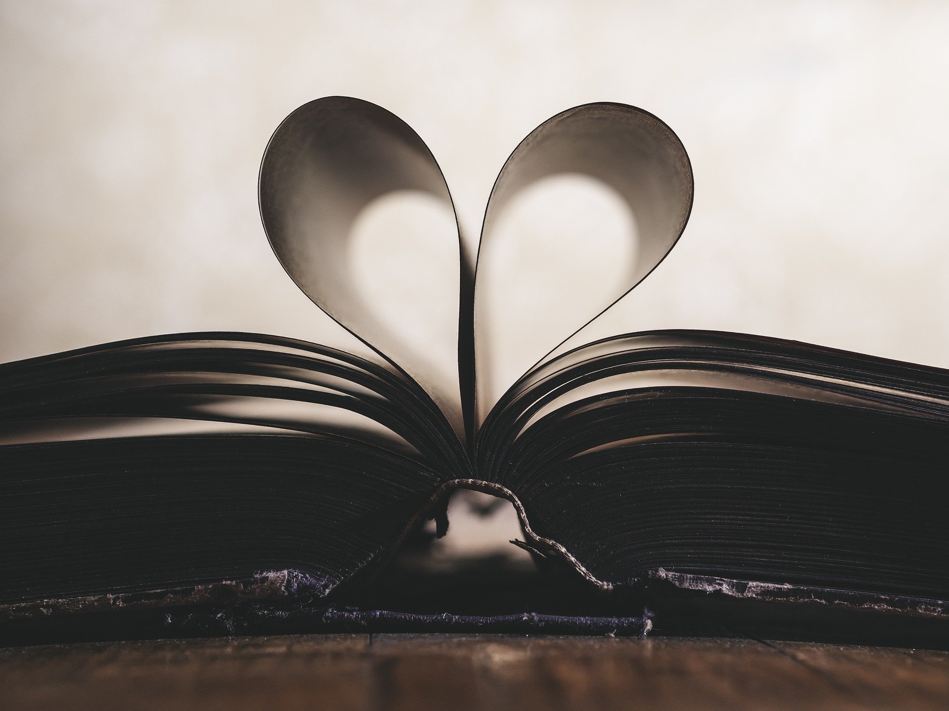 author Holly Murray