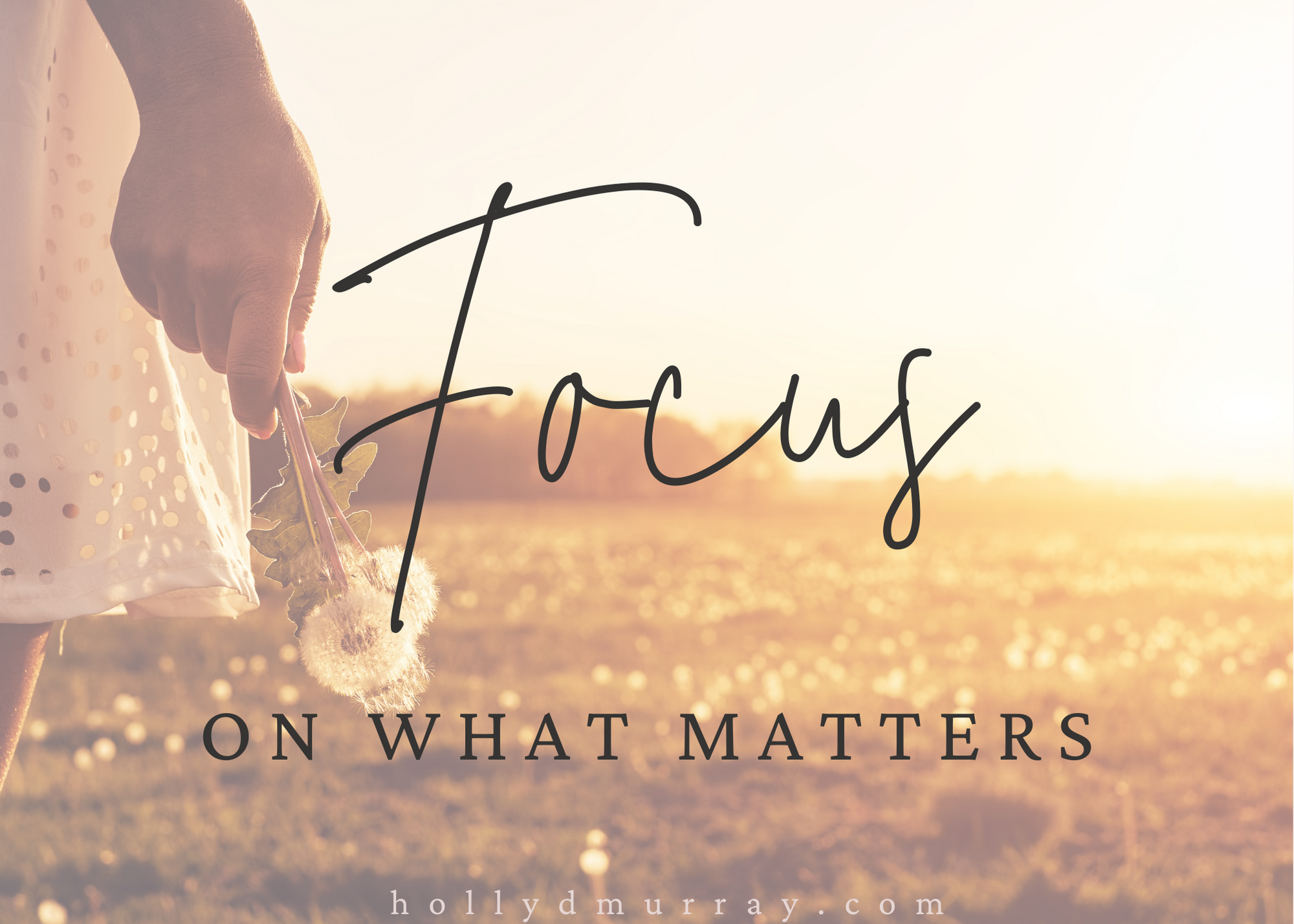 Focus on what matters Holly Murray Author Editor