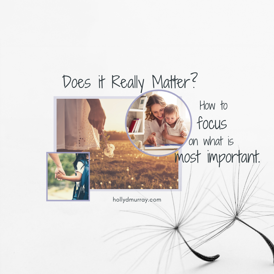 Focus Author Editor Holly Murray