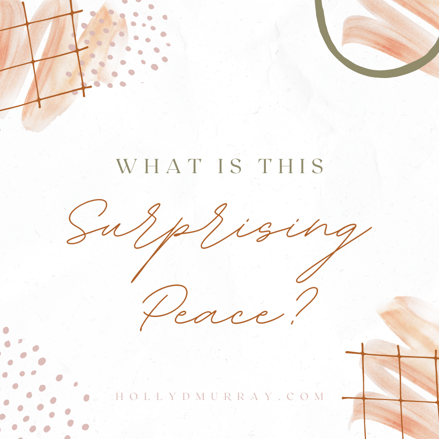 Surprising Peace Family Church Holly Murray Author Editor