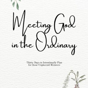 30 Day Devotional Digital Version - Meeting God in the Ordinary: Thirty Days to Intentionally Plan for those Unplanned Moments