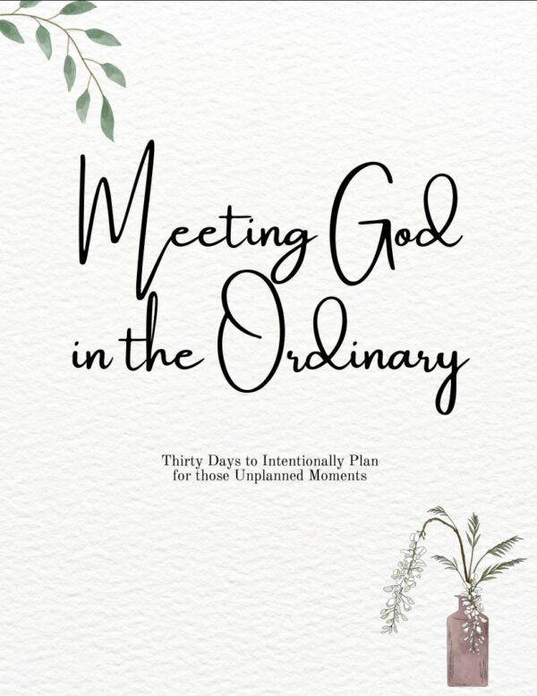 30 Day Devotional Digital Version - Meeting God in the Ordinary: Thirty Days to Intentionally Plan for those Unplanned Moments
