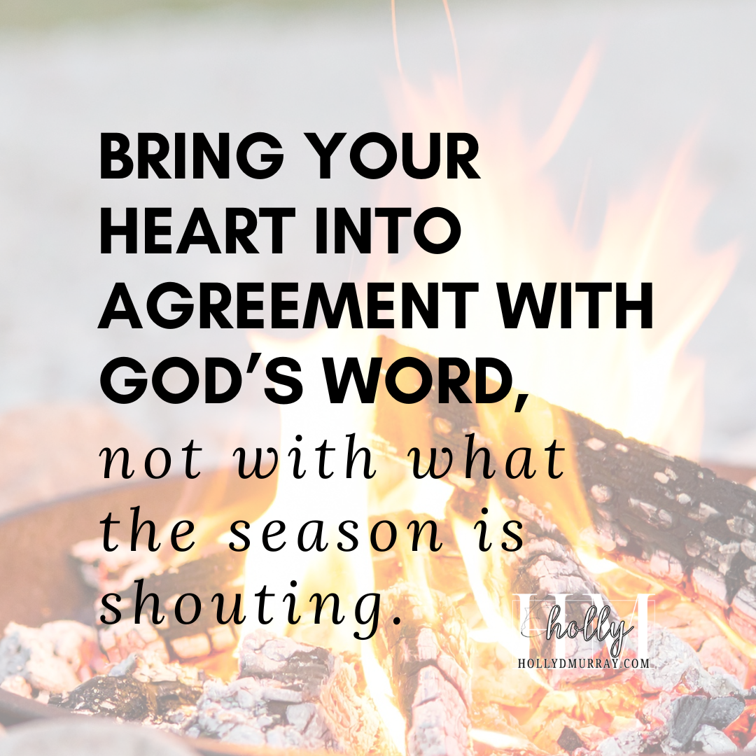 A close-up of a warm fire burning in a backyard fire pit with glowing orange embers and small flames. This image represents breathing life back into faith and tending to the spiritual fire in an ordinary life.